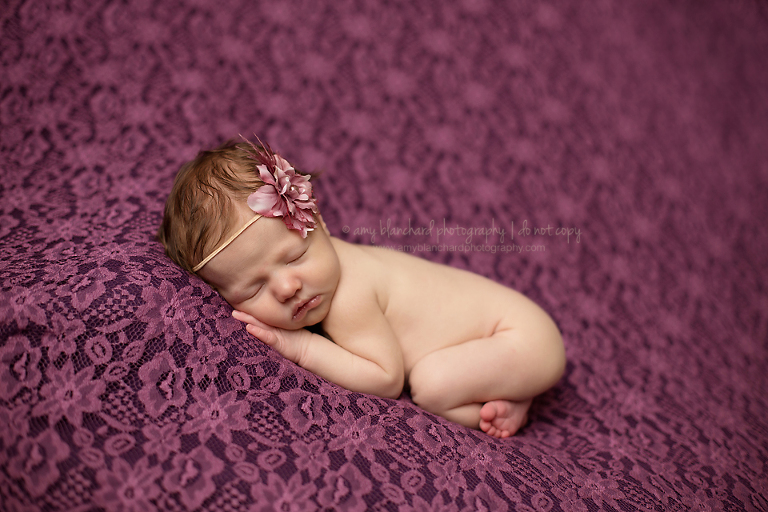 omaha-newborn-photography-purple