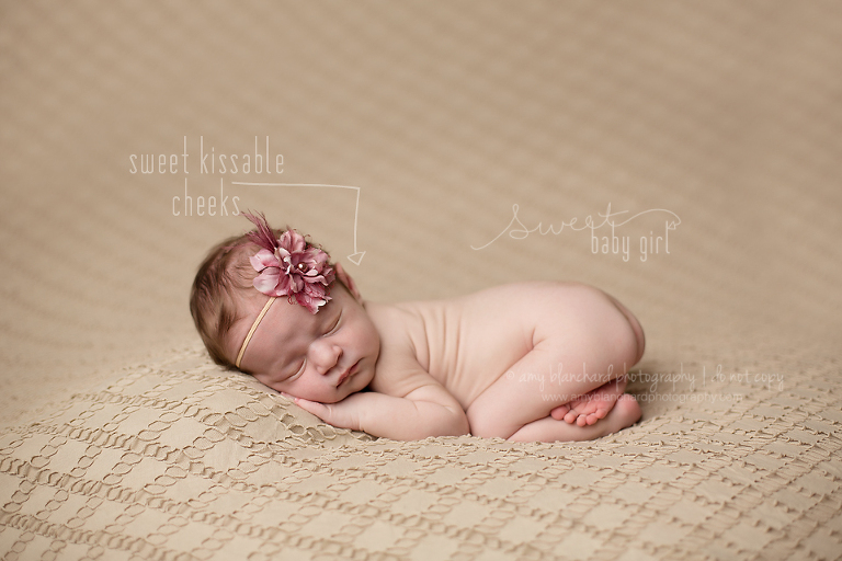 www.amyblanchardphotography.com