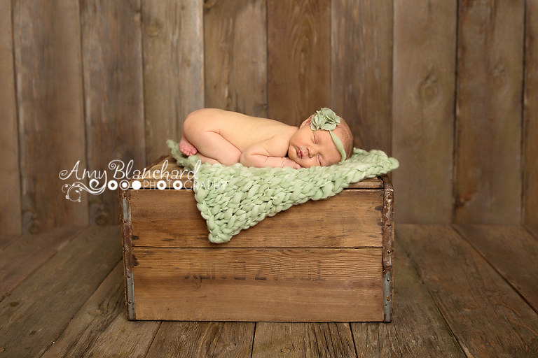 www.amyblanchardphotography.com