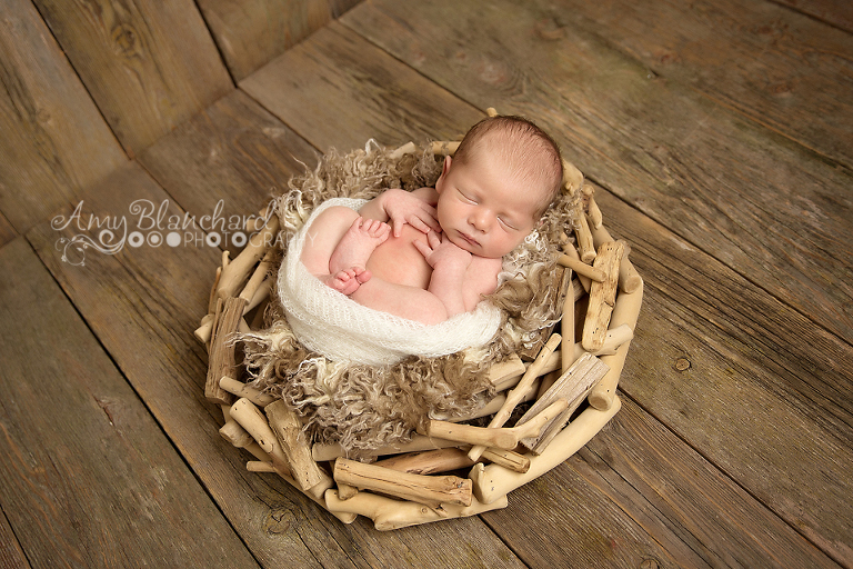 www.amyblanchardphotography.com