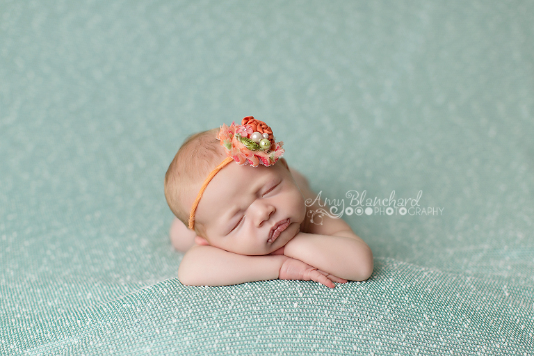 www.amyblanchardphotography.com