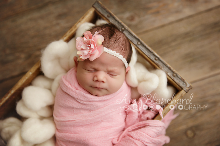 Omaha Newborn Photographer 